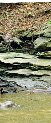 riverbank Geology Allegheny County